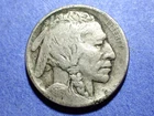 1913 Type 1 Buffalo Nickel  Fine+ details