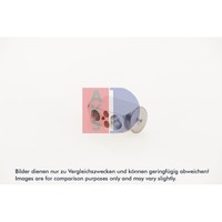 Expansionsventil Klimaanlage AKS Dasis 840231N FüR BMW X5