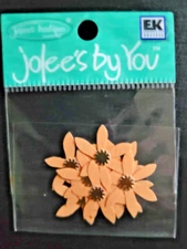 JOLEE'S Boutique By You Embellishments Orange Bellflower 10 pcs. Flower