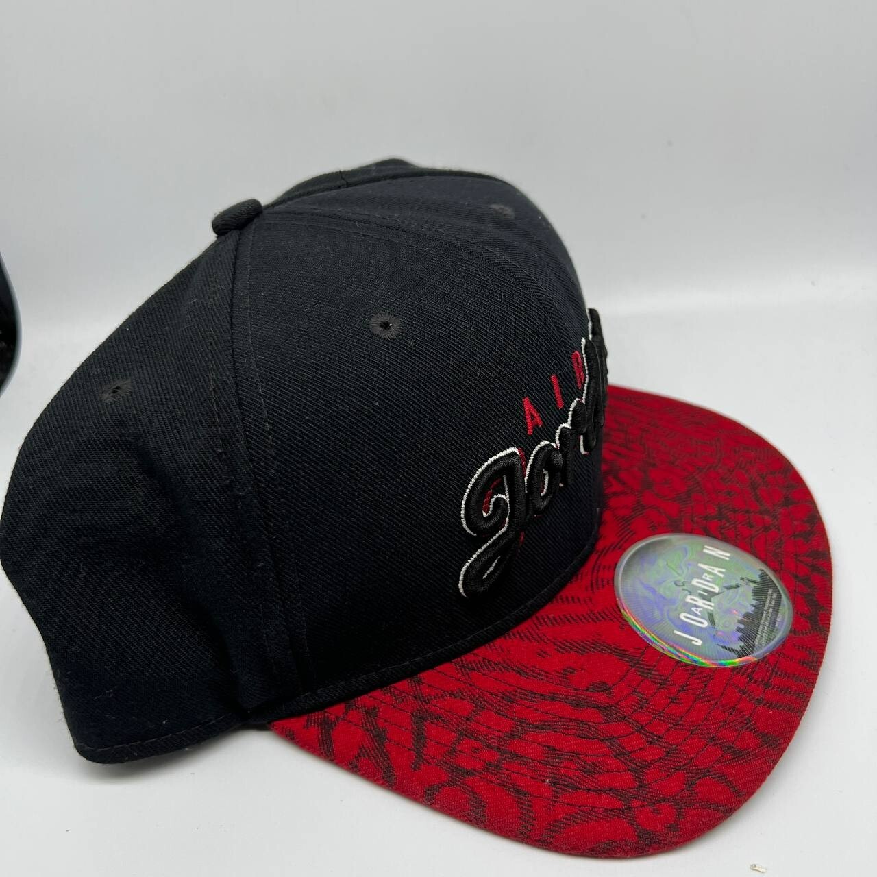 Air Jordan Seasonal Print Jumpman Hat Snapback Cap Men Gem