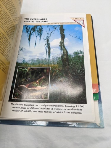 1990er Wildlife Fact File mit 141 Karten - Bild 14 von 18