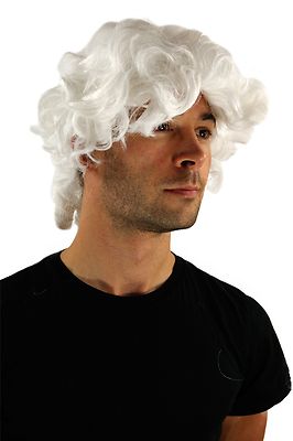 Perücke Herren Männer Fasching weiß Barock Edelmann Pirat Prinz Casanova Zopf
