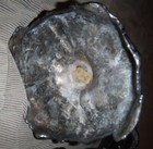 Bild 3 von 5