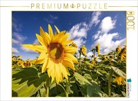 Calvendo Puzzle Sonnenanbeter Bei Billigheim | 1000 Teile Lege-GrößE 64X48Cm Fot