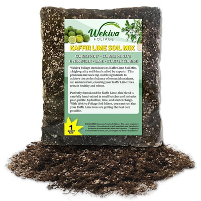 Kaffir Lime Tree Growing Soil Mix   Custom Soil Blend