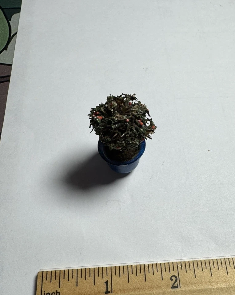 Planta de árbol miniatura de colección en maceta de metal 1:12 decoración de jardín para casa de muñecas Foto 3 de 4