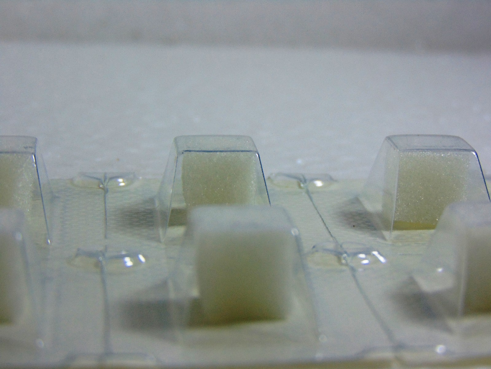 Dental Gelatin Sponges Absorbable Sterile Gelfoam Hemocollagene 32pcs