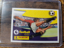 2019-20 Panini English Premier League Sticker Panini Logo 2