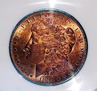 1891-S MORGAN SILVER DOLLAR $1 MS65  COIN Rare