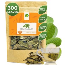 Guava Leaf Tea 5.47 Oz , 300 Dried Whole Leaves, 100 Pure Vietnamese Guajav...