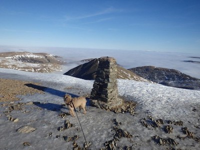 Foto A3 auf Helvellyn Viel Eis oben c2015
