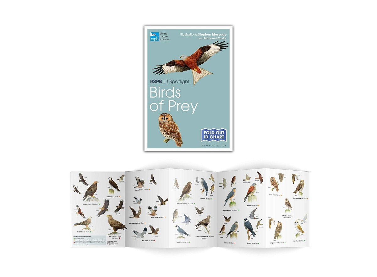 Book In English RSPB ID Spotlight. British Birds Of Prey Marianne