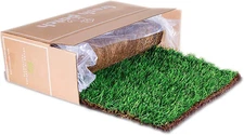 XL - Real Grass Pee and Potty Training Pad for Large Dogs and Multi-Dog Househol