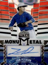 LIAM PETERSON RC AUTO 2024 Leaf Metal RWB Autograph 2/2 MonuMetal Pre- ID:123949