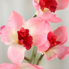 Set of 2 Richly Colored Pink Artificial Cymbidium Orchid 37" Floral Stem