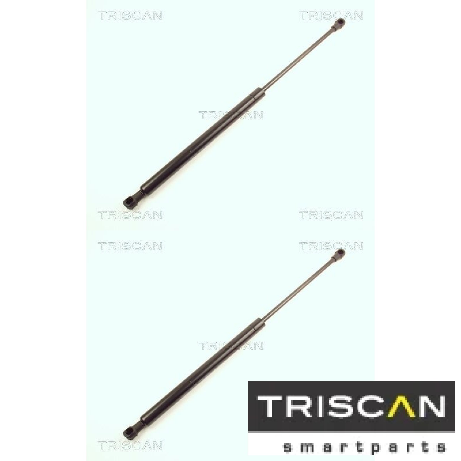 Triscan Gasfeder Hinten Peugeot 307 - Bild 3