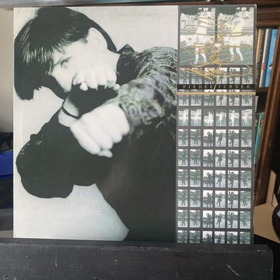 Pierce Turner - The Sky And The Ground (1989, Vinyl LP)  Time Flies 