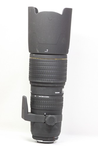 AS IS Sigma APO 100-300 mm F/4 EX IF DG HSM AF Lente de zoom para Nikon - Imagen 12 de 13
