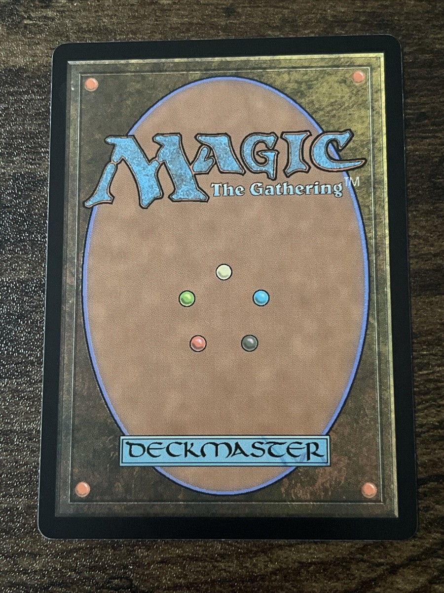 Forest 0278 Full Art Bloomburrow BLB MTG Magic The Gathering S3093