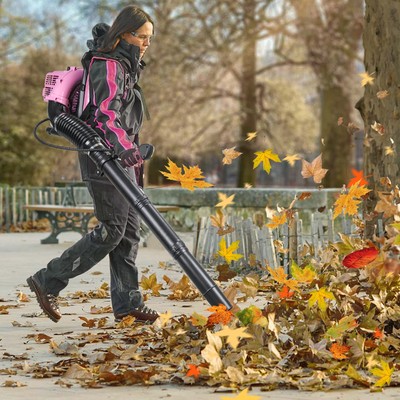 Leaf Blower, 1.25 KW 52CC 2-Stroke Backpack Gas Leaf Blower, Up to 550 CFM