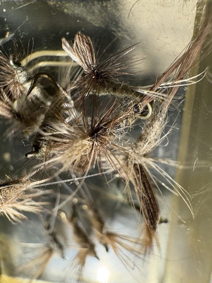 45 moscas pequeñas con caja Myran Fly Foto 2 de 4