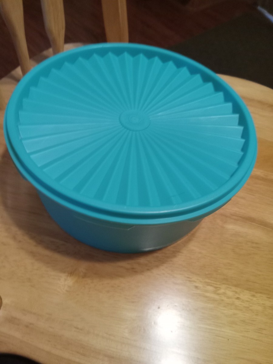 Tupperwareタッパーウェア セブンサークルコンテナー s-l1200.jpg