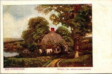Antigua postal de colección Homestead Country Creek House árbol escénico UDB