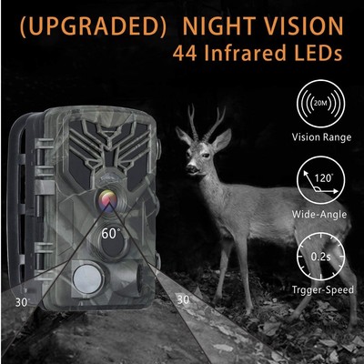 deer motion camera