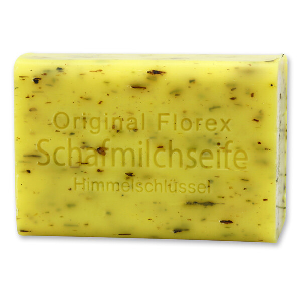 Bild 12 von 61