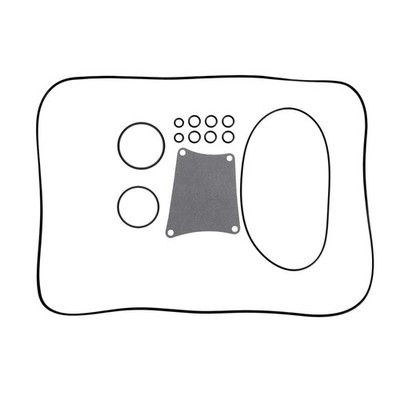 Primärdichtung Kit Gummi-Ersatzteile 406-2121 für Big Dog 2005-11
