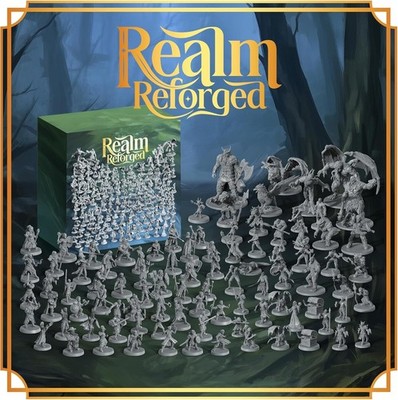 Wildspire Miniatures Realm Reforged 195 Minis NPC Char DND 28mm Grey Version D&D