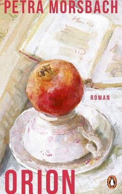 Petra Morsbach / Orion: Roman - »Mit ihrem lakonischen Ton hilft sie uns, üb ...