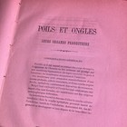 Foto 4 di 6