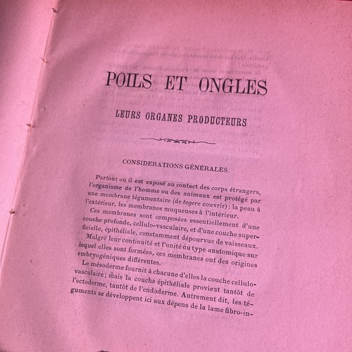 Poils Et Ongles, Leurs Organes Producteurs By S. Arloing. *Vintage 1880 First Ed - Picture 4 of 6