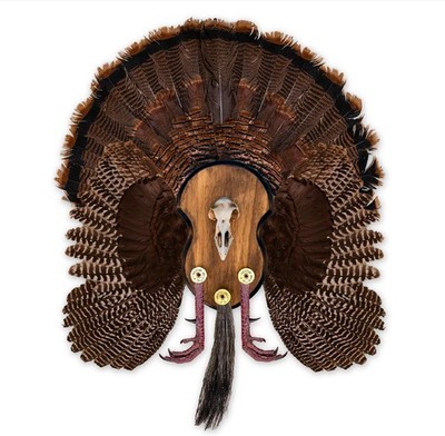 Ultimate Turkey Plaque by Illusion | Turkey Mounting Kit | Rustic Wall Mount Dis