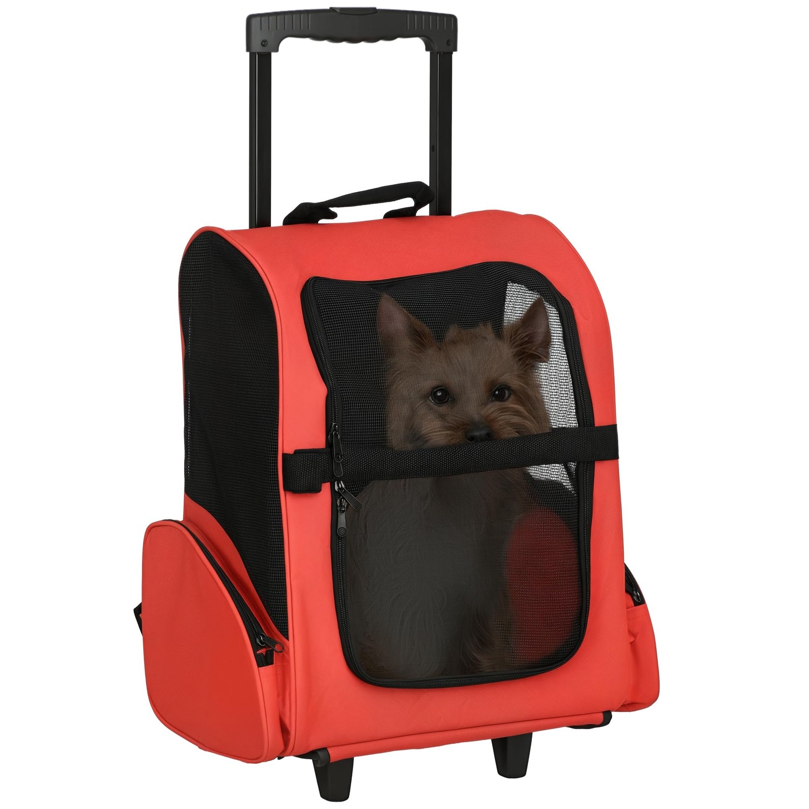 Sac de transport à roulettes 2 en 1 pour chat avec poignée télescopique et maille respirante