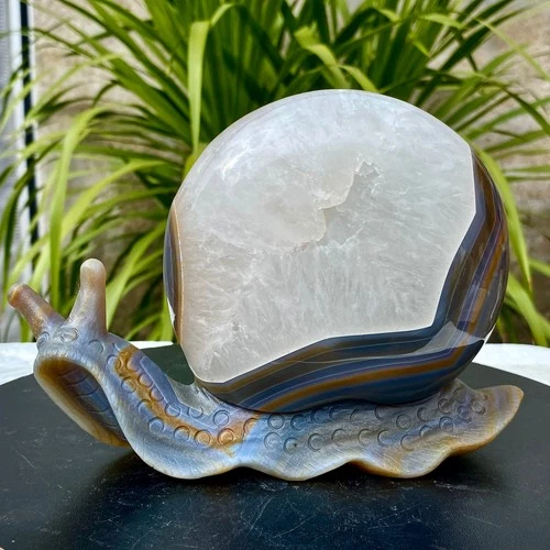 2.51LB Natural agate geode quartz crystal engrave snail skull healing gift deco