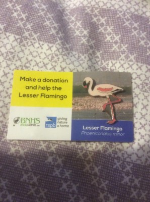 Wwf World Wildlife Fund Flamingo Bird Pin Badge Not Rspb Yoc Badges Patches Telephoneheights Collectable Badges