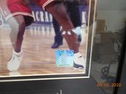 Picture 5 of 8