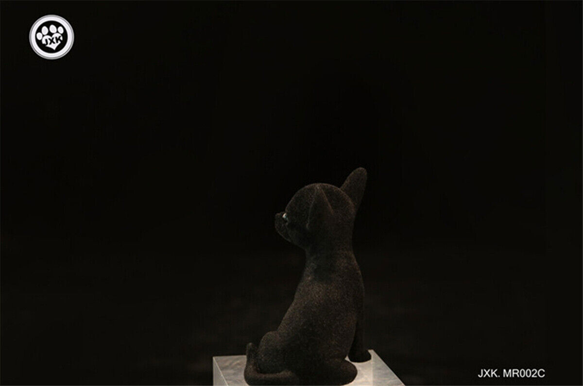 Picture 13 of 13
