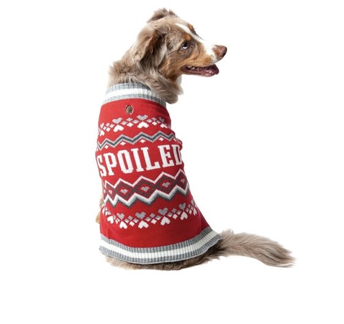 New Vibrant Life Pet Sweater Red “SPOILED” Dog Large Labrador German Shepherd - Picture 8 of 15