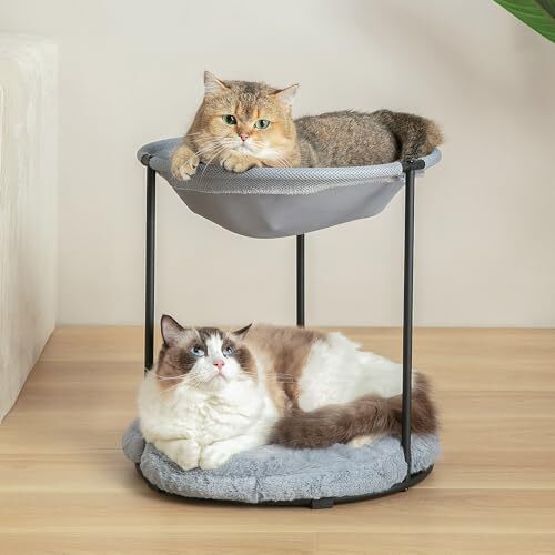 Double Cat Bed for 2 Cats Breathable Elevated Cat Beds for Indoor Cats, Round - Bild 2 von 7