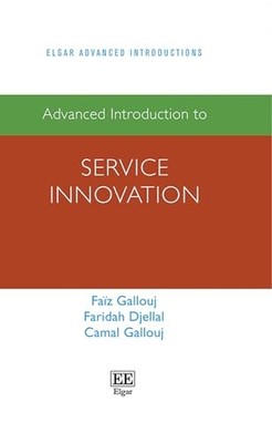 Advanced Introduction to Service Innovation