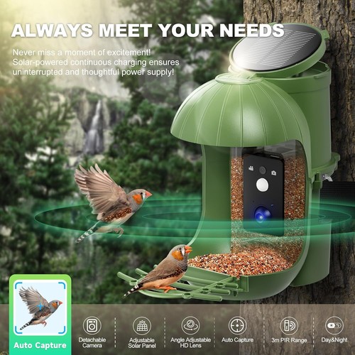 Vogelfutterspender mit Kamera | Vogelhaus Kamera mit Solar | Futterstationen DE - Bild 10 von 19