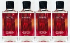 4 Bath  Body Works CANYON FOR MEN Body Wash Shower Gel 10 oz