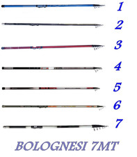 canna bolognese 7mt carbonio da pesca mare lago fiume 7 m mt metri