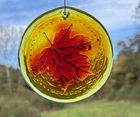 Blenko Glass Suncatcher - Maple Leaf - Tangerine