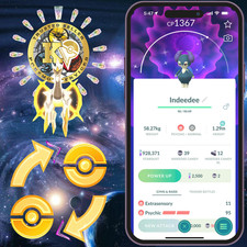 Pokémon PTC Go   Shiny Indeedee   80k Stardu...