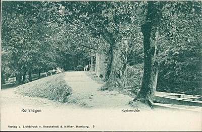 Ansichtskarte Niedersachsen Rolfshagen Kupfermühle Waldweg um 1900