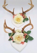 Mounted Whitetail Deer Antlers 8 Point 7 Point Rustic Cabin Lodge Decor